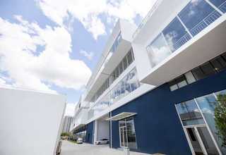 广东专业的环氧彩砂厂家