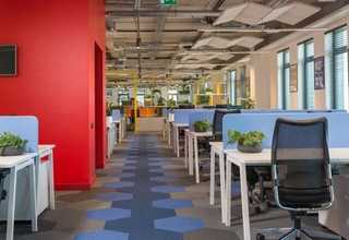 苏州过氧消毒粉怎么买