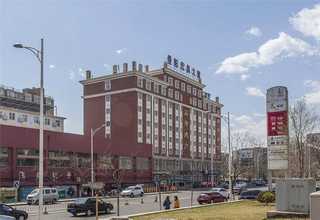 盐城宠物用品品牌