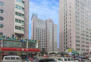 湖北场区彩色路面胶结料