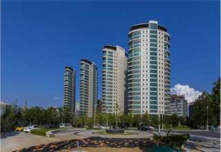 山东冬虫夏草零售